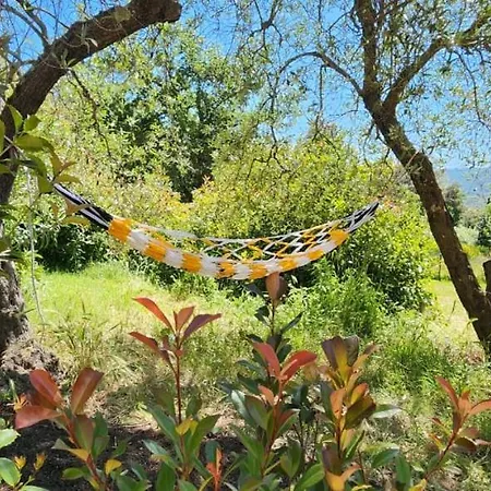 Casa vacanze Rustic Tuscan Immersed In Nature And Tranquility Gambassi Terme
